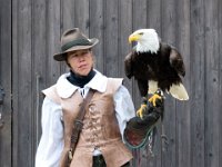 Weisskopfseeadler 121